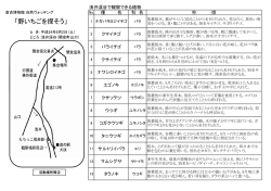 「野いちごを探そう」