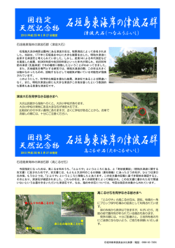 石垣島東海岸の津波石群 石垣島東海岸の津波石群