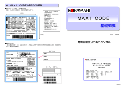 MAXI CODE基礎