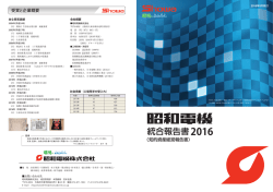 統合報告書 - 昭和電機