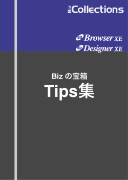 Biz/Browser XE・Biz/Designer XE TIPS集 PDF版 - Biz