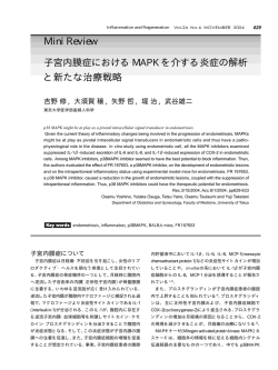 子宮内膜症における MAPK を介する炎症の解析と新たな治療戦略