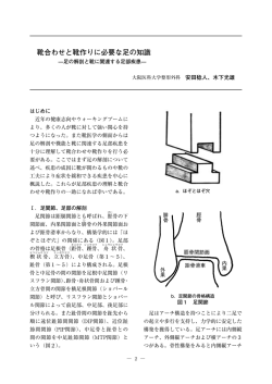2． 靴合わせと靴作りに必要な足の知識