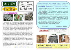 2010年4月号 - 住まいづくりの情報サイト[e