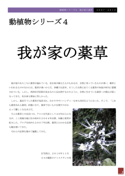 動植物シリーズ4
