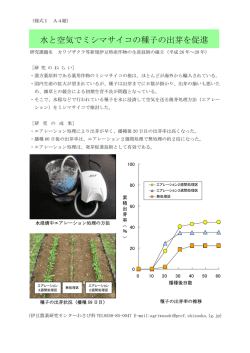 水と空気でミシマサイコの種子の出芽を促進