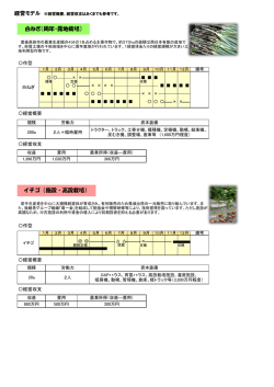 白ねぎ（周年・露地栽培） イチゴ（施設・高設栽培）