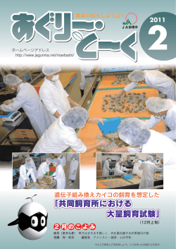 「共同飼育所における 大量飼育試験」
