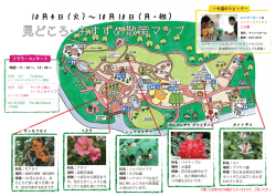 見どころ・おすすめ散策マップ