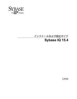 Sybase IQ