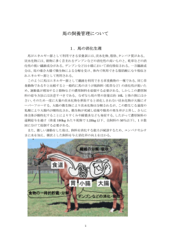 馬の飼養管理について