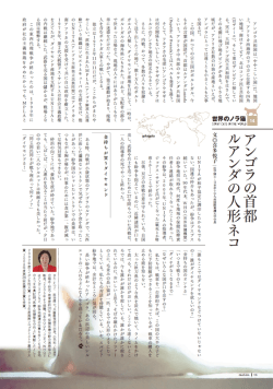 アンゴラの首都ルアンダの人形ネコ