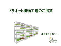 豊橋植物工場 事業計画書