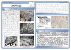 隠岐片麻岩