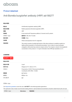 Anti-Borrelia burgdorferi antibody (HRP)