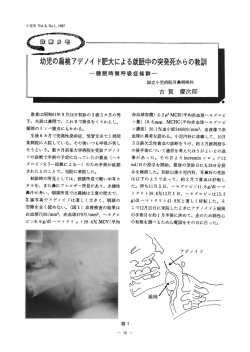 本文 - J