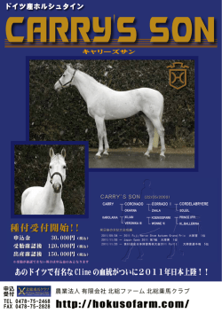 あのドイツで有名な Cline の血統がついに2011年日本上陸！！