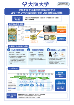 欠損を有する半月板損傷に対するコラーゲン半月板補填材を用いた治療
