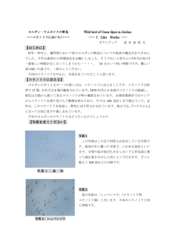 【はじめに】 【コウノトリに会える】 【写真を見てください】
