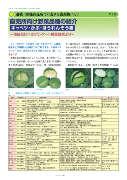 直売所向け野菜品種の紹介 キャベツ・かぶ・ほうれんそう編 &sim;種苗会社