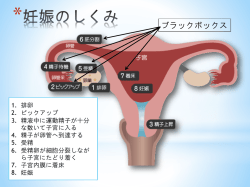 2 - 絹谷産婦人科