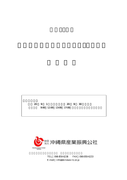 沖縄県内中小企業マーケティング事業 公 募 要 領
