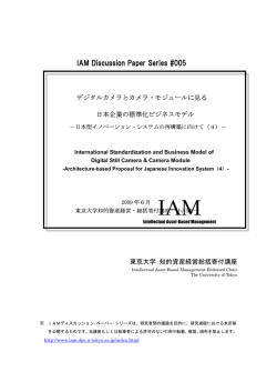 IAM Discussion Paper Series #005