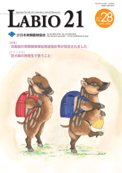 LABIO21 No.28（PDF）