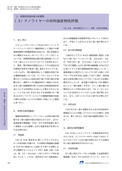 （3）ナノワイヤーの材料強度物性評価