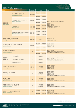 90~120 ¥2,500 体験アクティビティ Culture キッズプレートコース 60~90