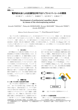 電界紡糸法による抗菌性を有するナノファイバーシートの開発（PDF