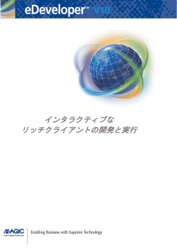 インタラクティブな リッチクライアントの開発と実行