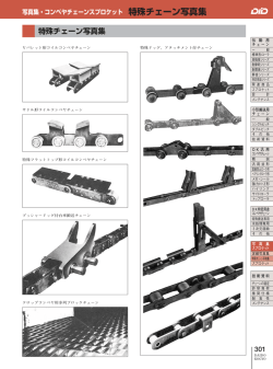 特殊チェーン写真集