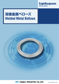 溶接金属ベローズ Welded Metal Bellows