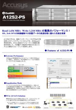 ExaSAN A12S2-PS