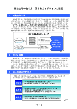 補助金等のあり方に関するガイドラインの概要