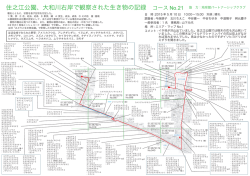 住之江公園、大和川右岸で観察された生き物の記録 コース No.21