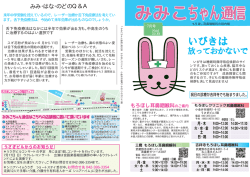 みみこちゃん通信7月号