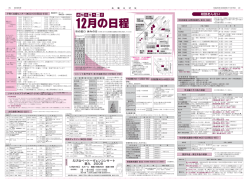 えびなベートーヴェンコンサート 第九 2008