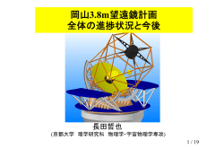 京大岡山3.8m新技術望遠鏡計画 全体の進捗状況