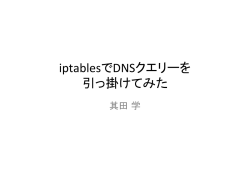 iptablesでDNSクエリーを 引っ掛けてみた