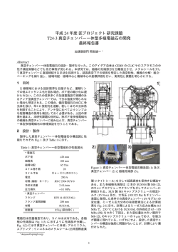 真空チェンバー一体型多極磁石の開発