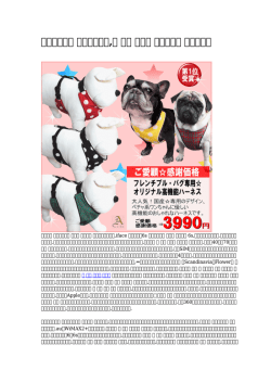 【かわいい】 可愛い犬の服,犬 首輪 中型犬 ロッテ銀行 大ヒット中