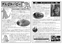 F ig h t! 世界の盲導犬