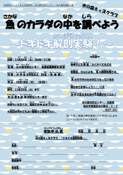 魚のカラダの中を調べよう～ドキドキ解剖実験