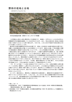 野田の低地と台地