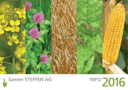 Tommy Bahama トミーバハマ スポーツ・アウトドア用品 レディース水着