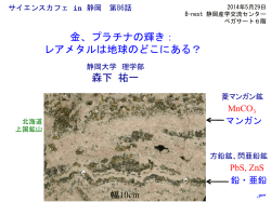 森下 祐一 金、プラチナの輝き： レアメタルは地球の