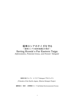 極東ロシアのタイガを守る - 一般財団法人地球・人間環境フォーラム