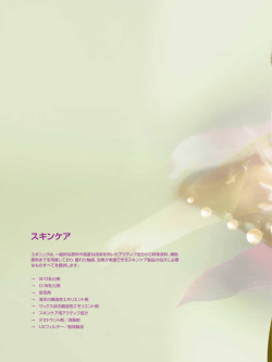 製品カタログ（抜粋）